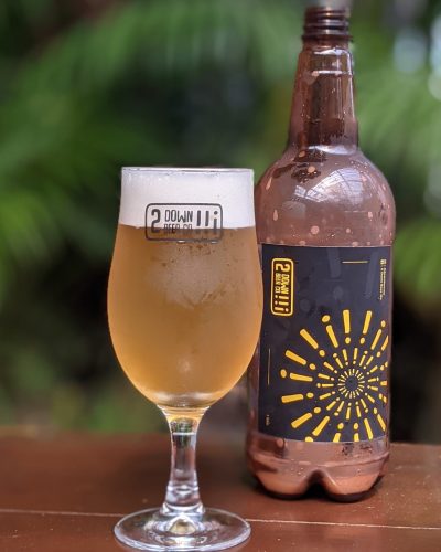 Wink- Indian Gose